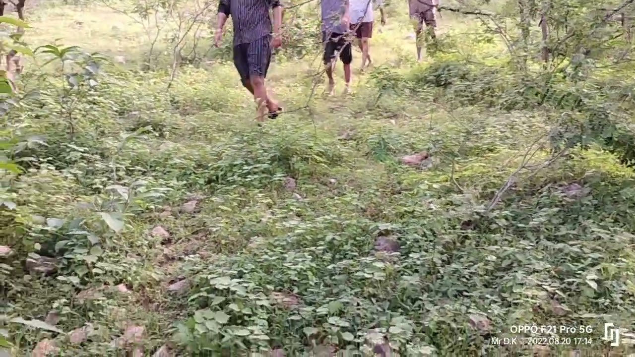 Aravalli 🏔️//S.k Hills|| khubsurt Jangal🌲//Aravalli Harmala