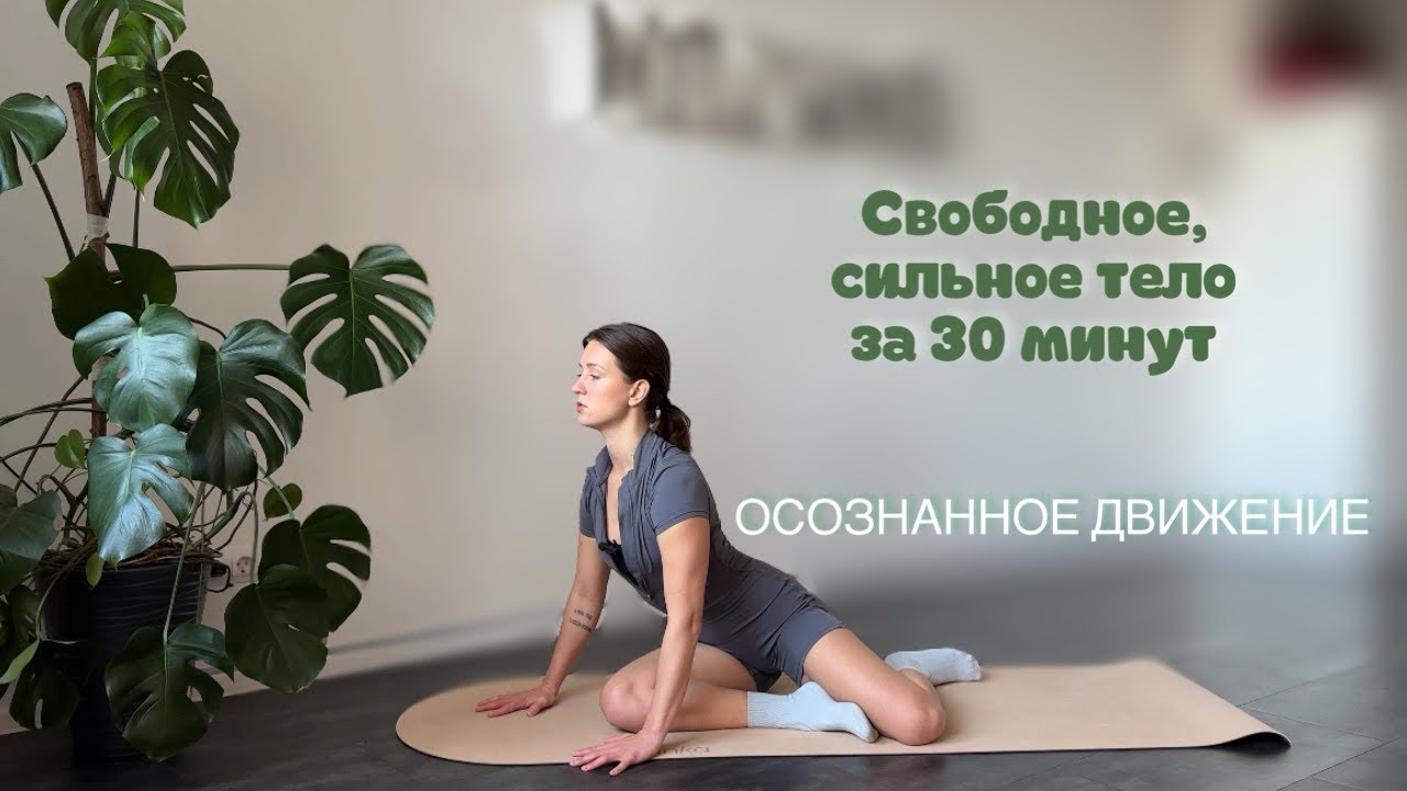 Умный фитнес. Тренировка на все тело за 30 минут. 