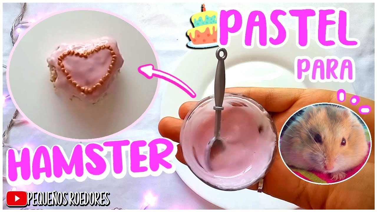 PASTEL PARA HAMSTER - ¡FESTEJO A MI HAMSTER RUSO!