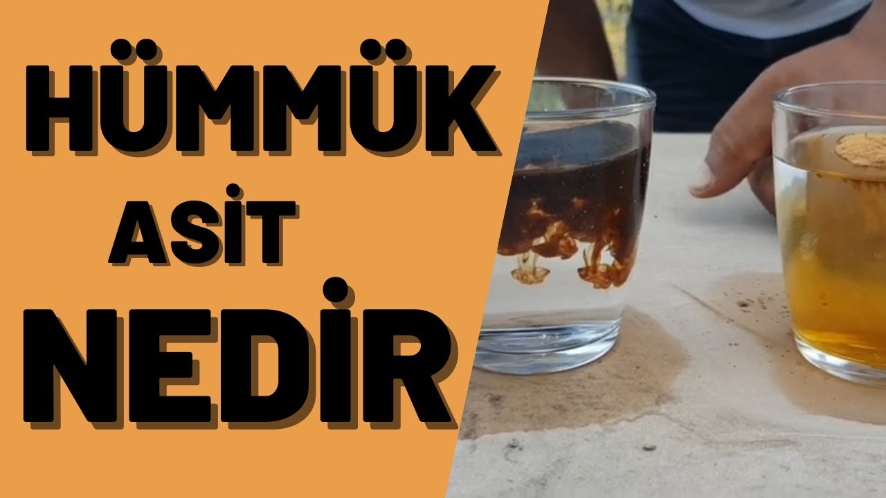 Hümmükasit nedir, nasıl kullanılır ? Fulvikasit nedir ? 
