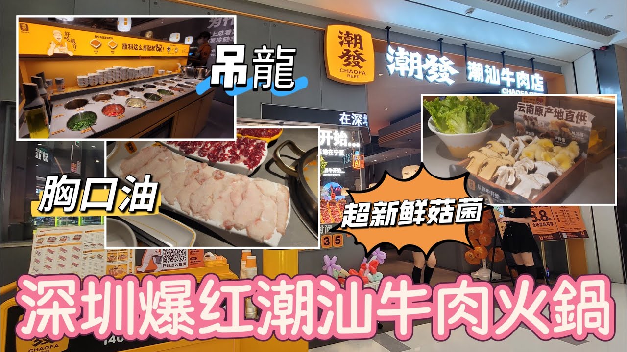 深圳吃喝玩樂推介(EP62) - | 深圳遊 | 深圳牛肉火鍋推介分享🐮 | 不在潮汕吃在潮發 | 吊龍鲜和牛胸口油 | 牛肉超新鲜 |