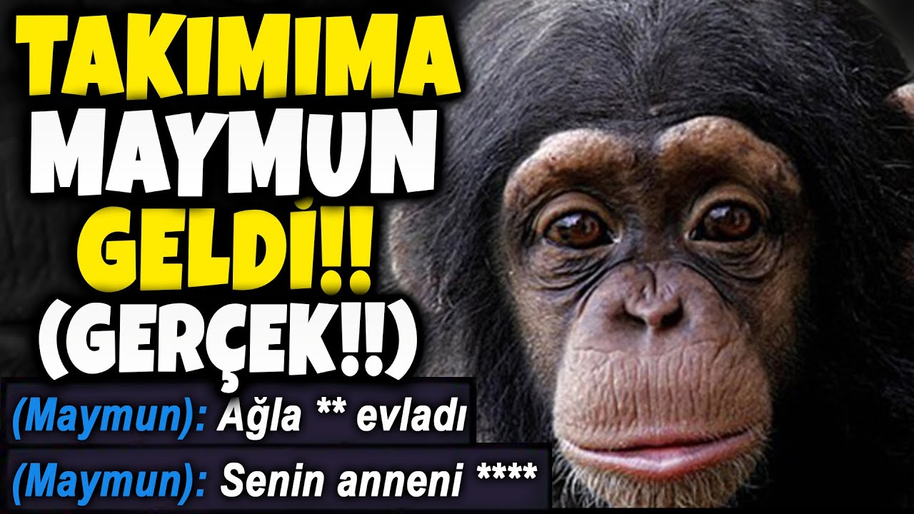 TAKIMIMA MAYMUN GELDİ !!! | SİNİRLENİP PENTA ATTIM !!! | Apophis