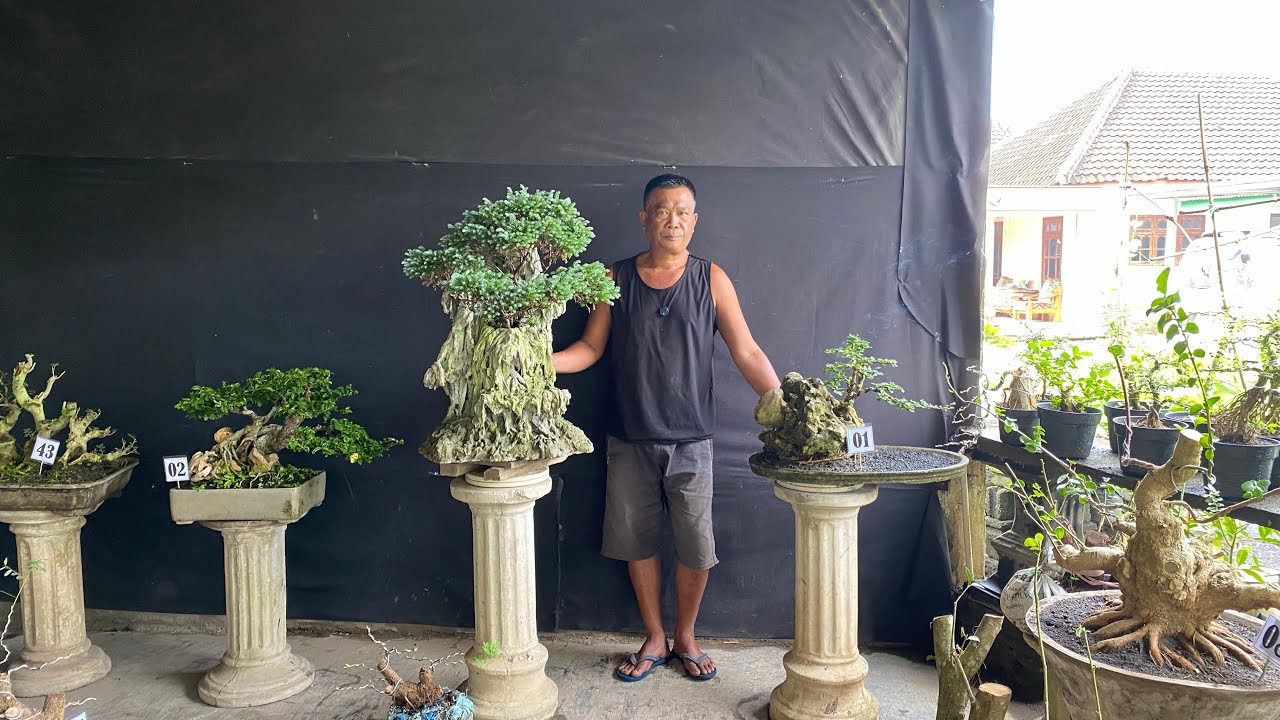 REVIUW LAGI ABANGKU HARGA EKONOMIS COCOK UNTUK PEMULA MINAT WA 085150612663