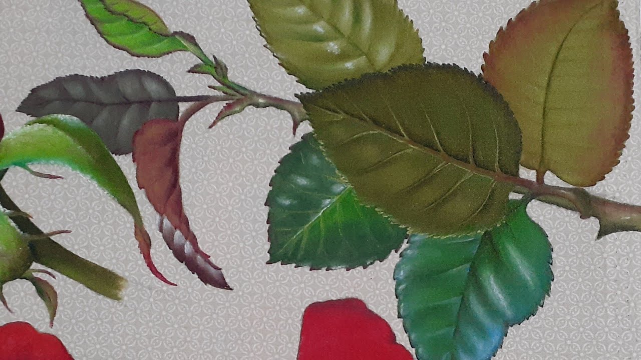 Pintura de folhas de rosa (parte 2)