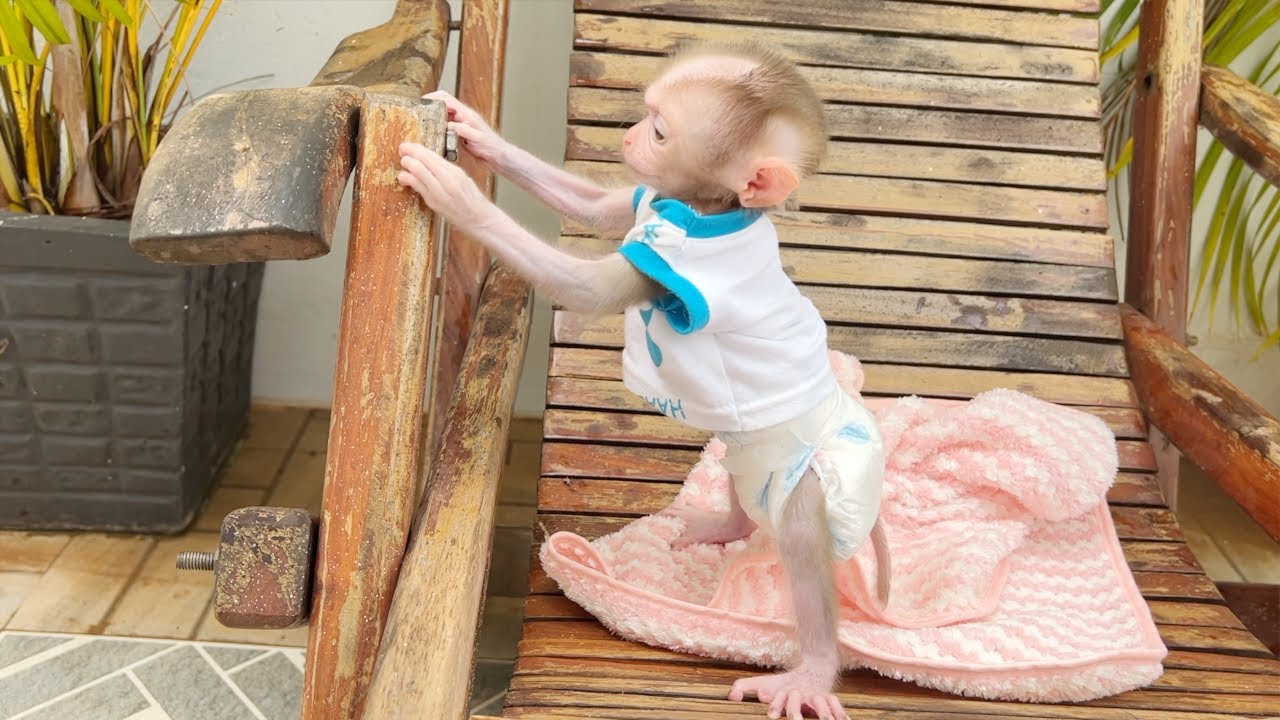 Gorgeous Baby Tauch Standing Up Enjoy Play On Chair