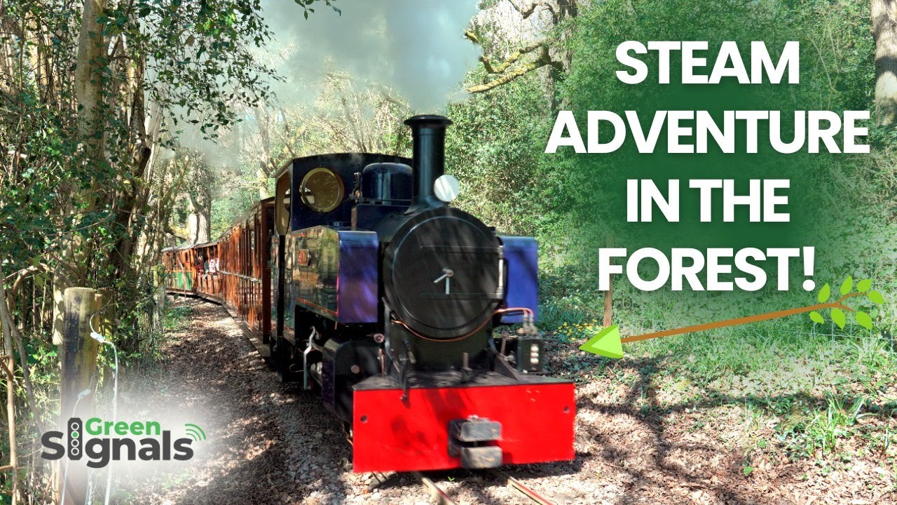 Steam Train Adventure in the Forest of Dean! Perrygrove Railway Adventure