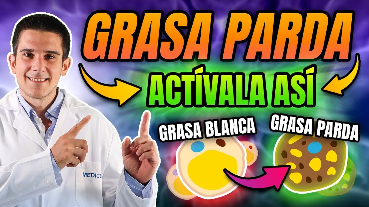 Cómo Activar La GRASA PARDA Para QUEMAR GRASA Normal🔥*NUEVO ESTUDIO Cell Metabolism*📊