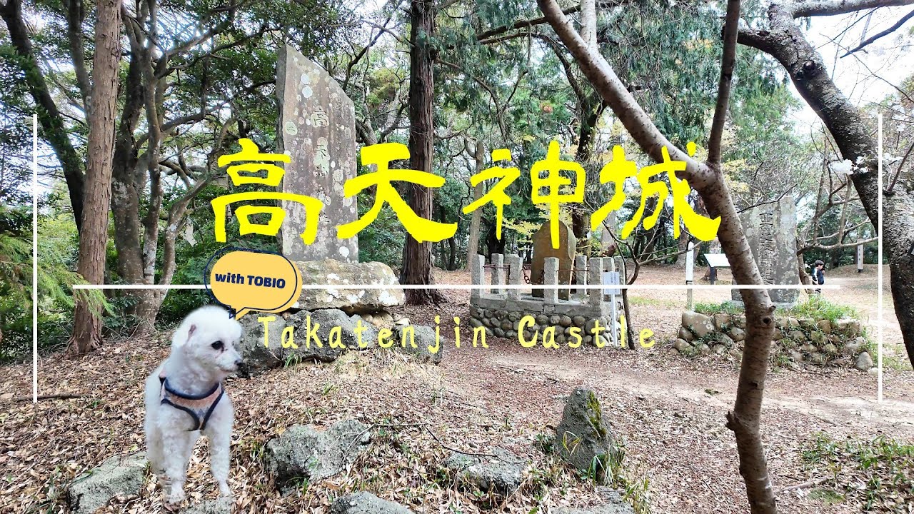 【4K】愛犬TOBIOと巡る高天神城｜曲輪と堀が織りなす戦国の聖地を散歩！[4K] Exploring Takatenjin Castle with My Dog, TOBIO