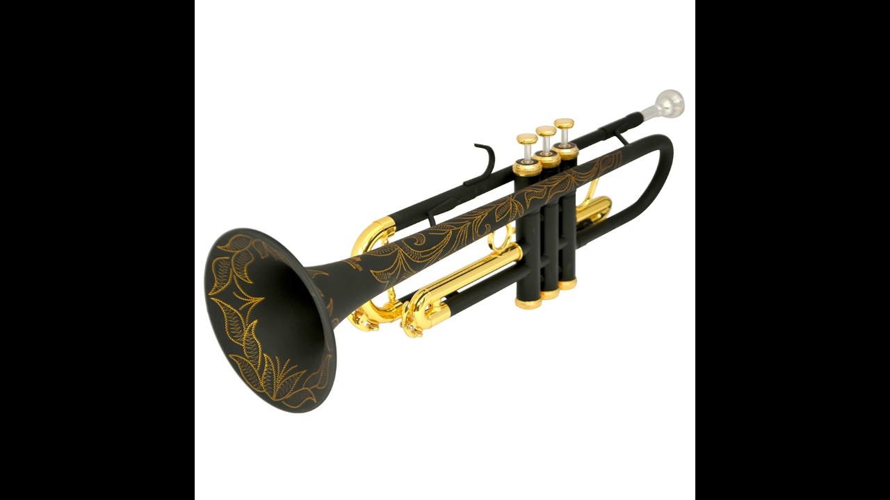 My Trumpet (studio samples)