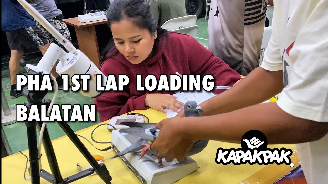 PHA SDR 2025-2026 1ST LAP LOADING BALATAN