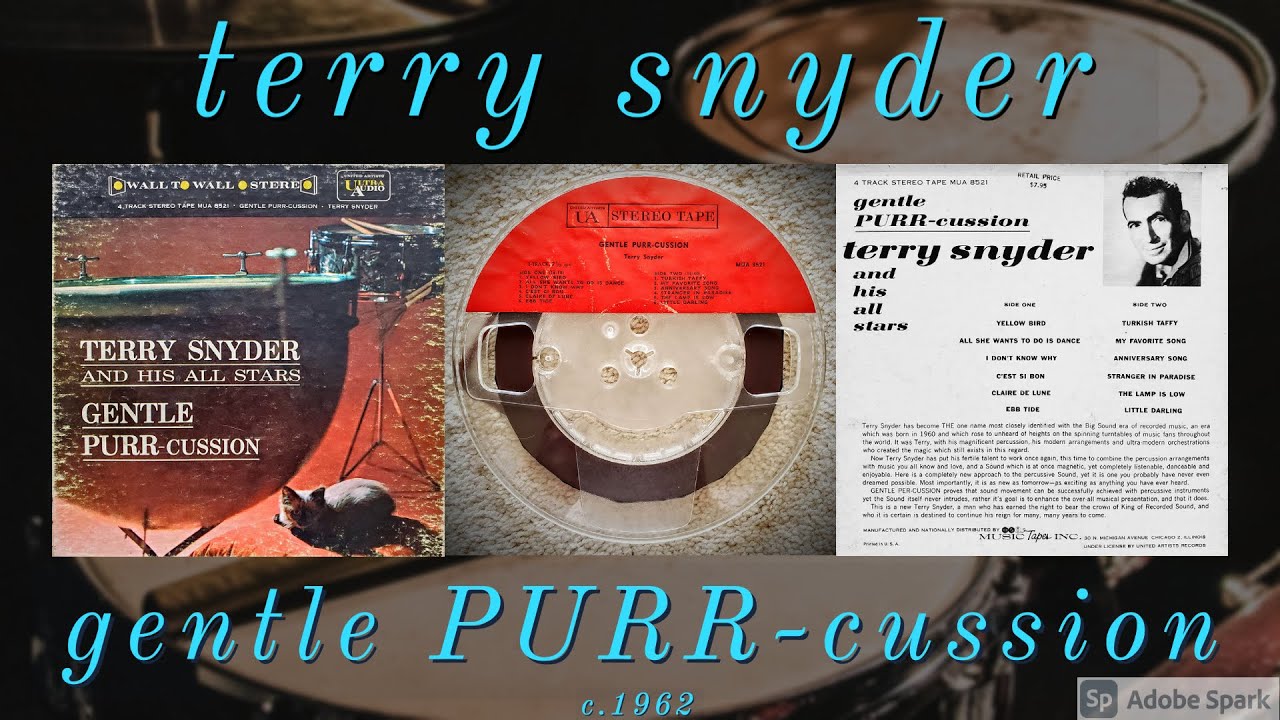 Terry Snyder - C'est Si Bon