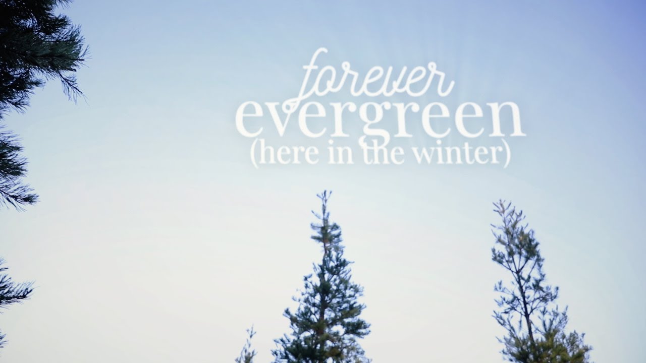 Hannah Kerr - Forever Evergreen (Here in the Winter) [Official Lyric Video]