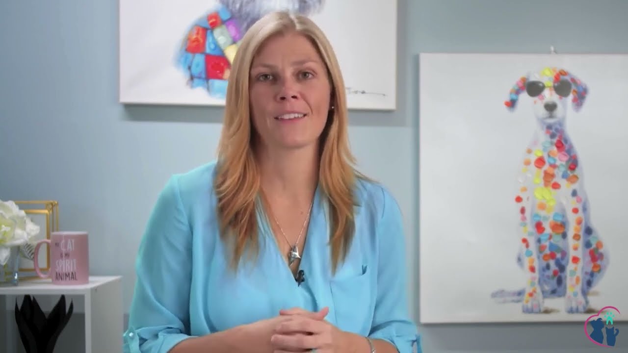 What is a Dental COHAT?