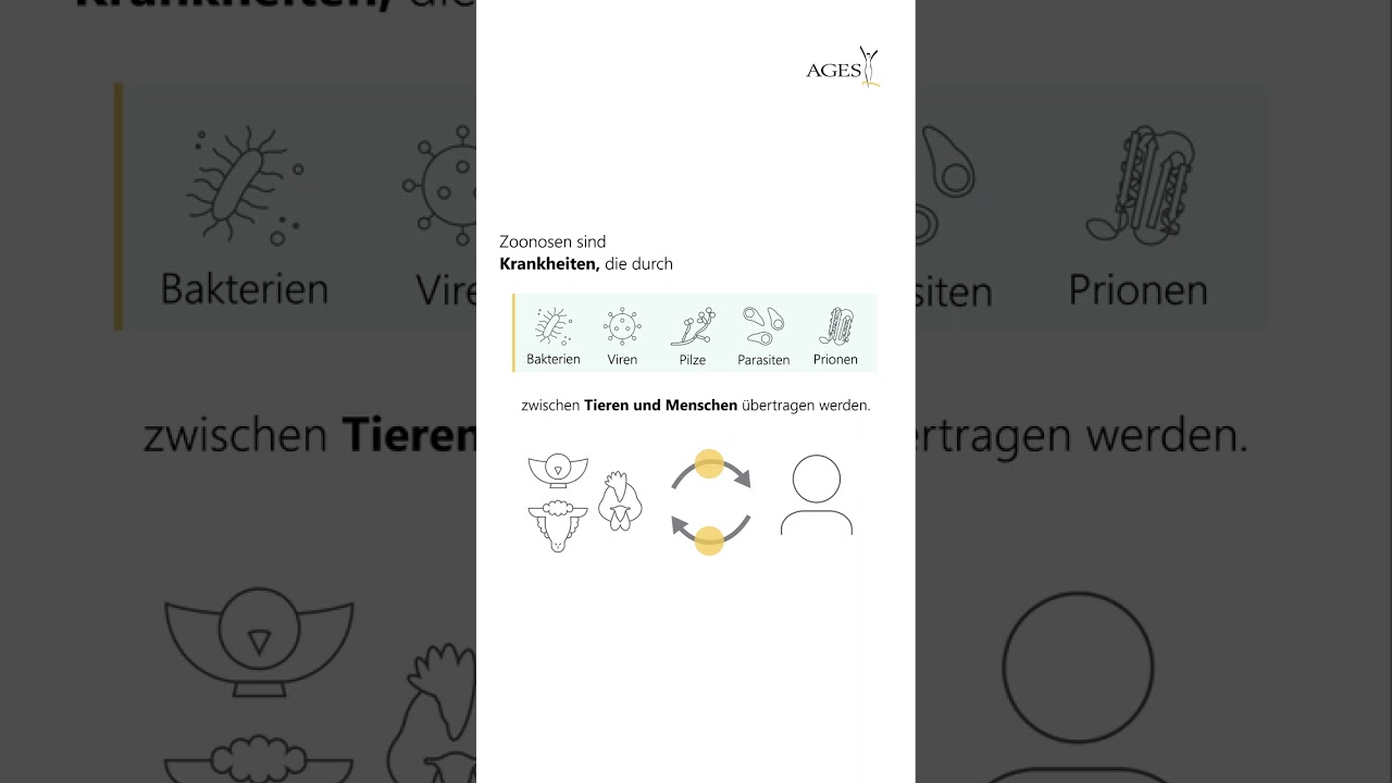 Was sind ZOONOSEN?