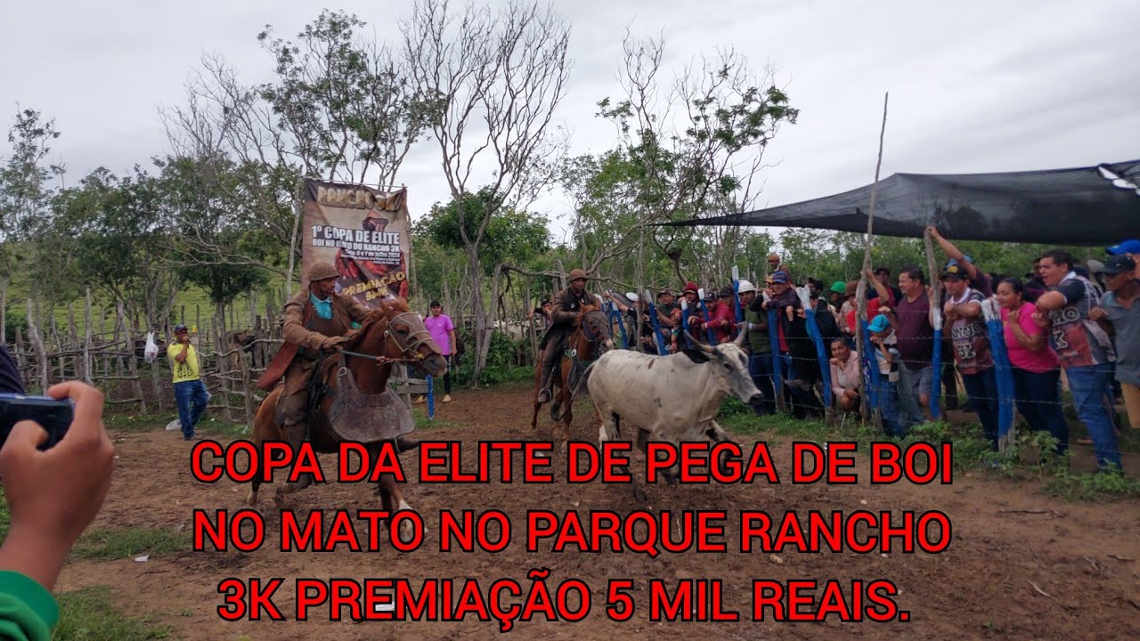 1ª copa da elite de pega de boi no mato no Parque Rancho 3k Porto da Folha Sergipe 2024.
