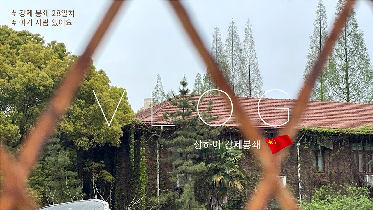 상하이 무기한 강제봉쇄 VLOG 🇨🇳 l 28일째 봉쇄중 l 격리식단 l 갇혀버린 학생들 l 도시전체 봉쇄 l SHANGHAI LOCK DOWN l 상하이 유학