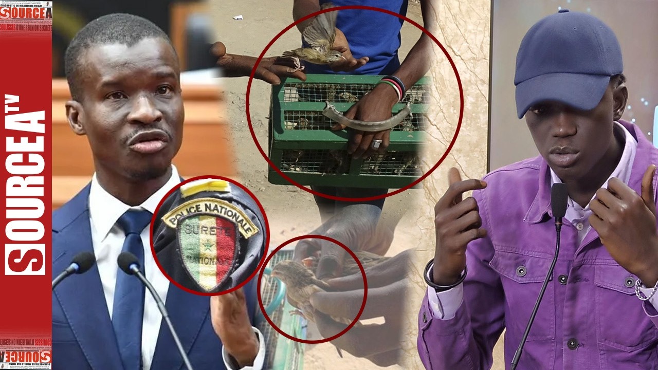 ”Ana policier ak diapp Pithie…ministre bi dafa…“ Baba Ndiaye détruit Me Bamba Cissé 