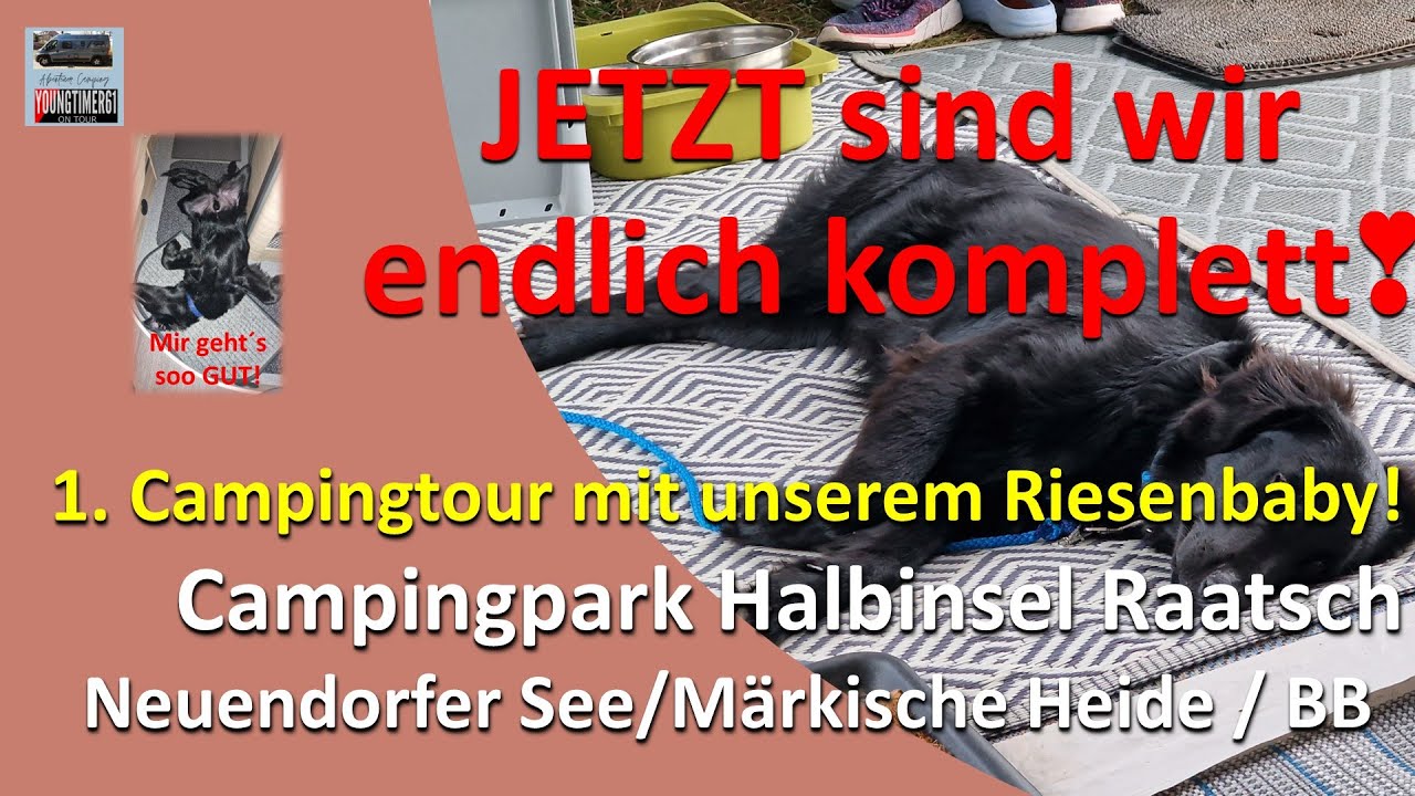 ENDLICH zu dritt! Unser Hund Rico😍entdeckt seine Camperseite am Neuendorfer See😎