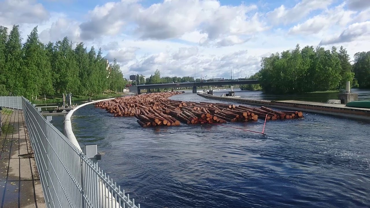 Joensuun kanava 20.6.2018, puun uitto