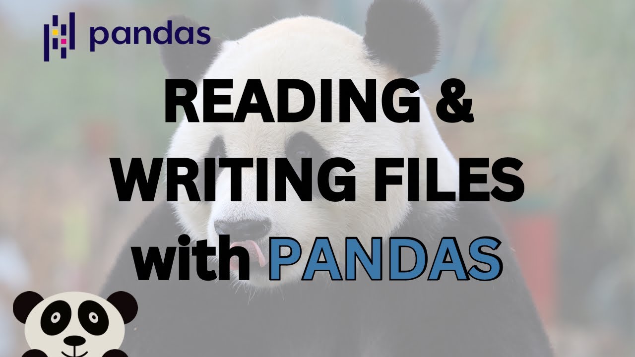 BEGINNER Read and Write CSV, EXCEL & JSON Files using PANDAS #datascientist #pandas