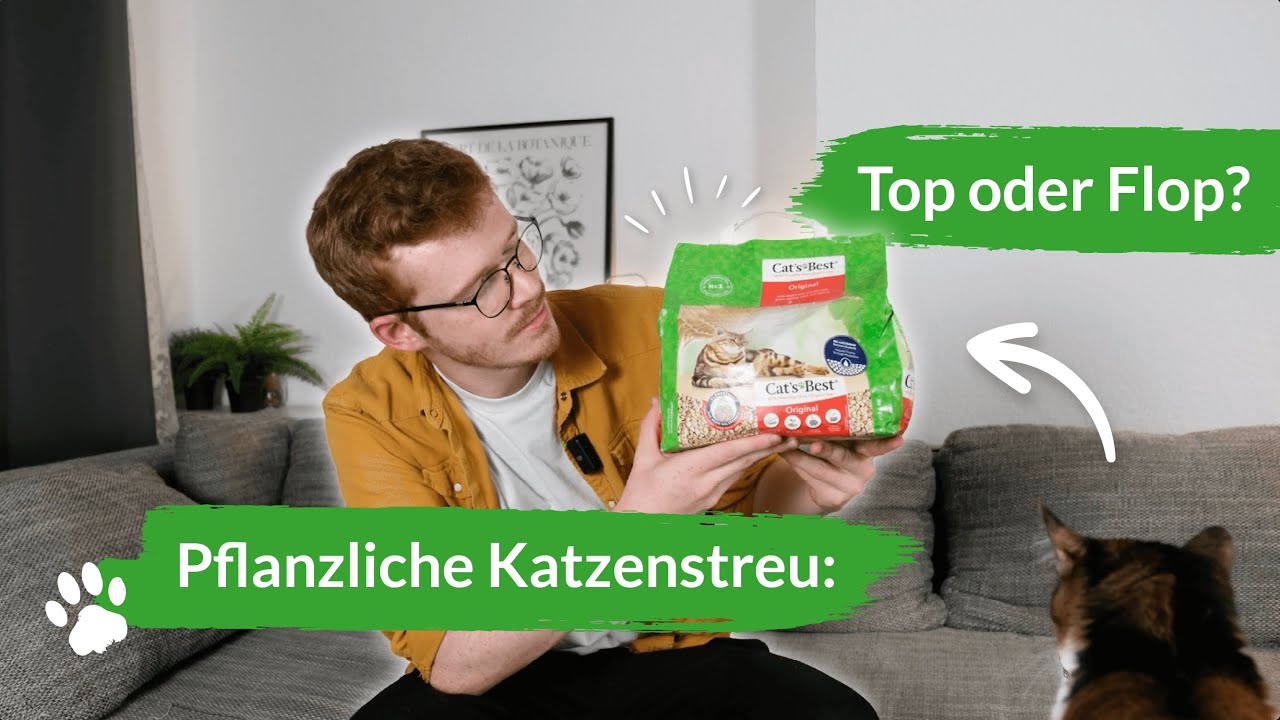 Pflanzliche Katzenstreu: Anwendung, Pflege & Tipps