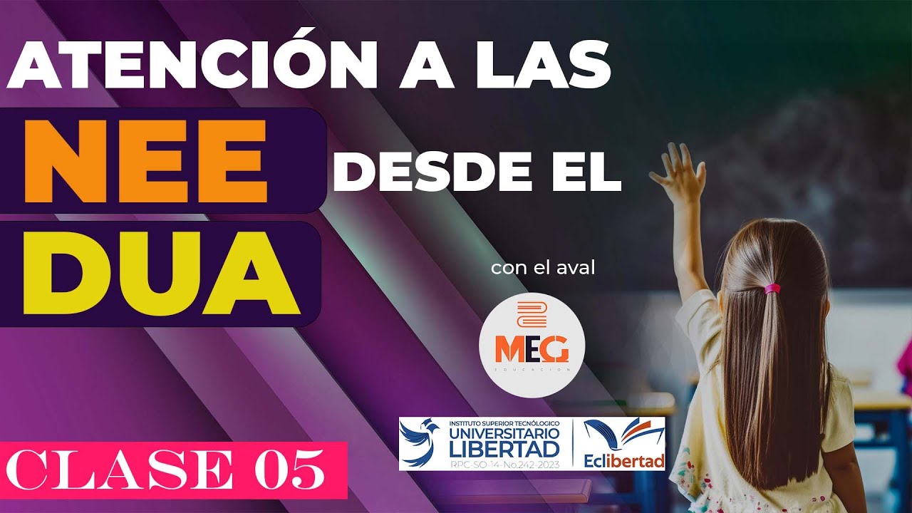 NEE desde el DUA | Clase 05: Principios y Aplicación en el Aula