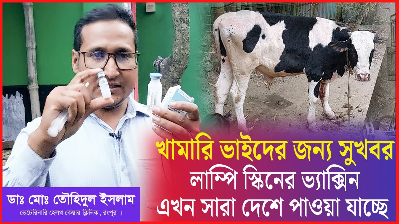 লাম্পি স্কিন ডিজিজের ভ্যাক্সিন সারাদেশে পাওয়া যাচ্ছে | লাম্পি স্কিন ভ্যাক্সিন । Dr.Touhidul Islam