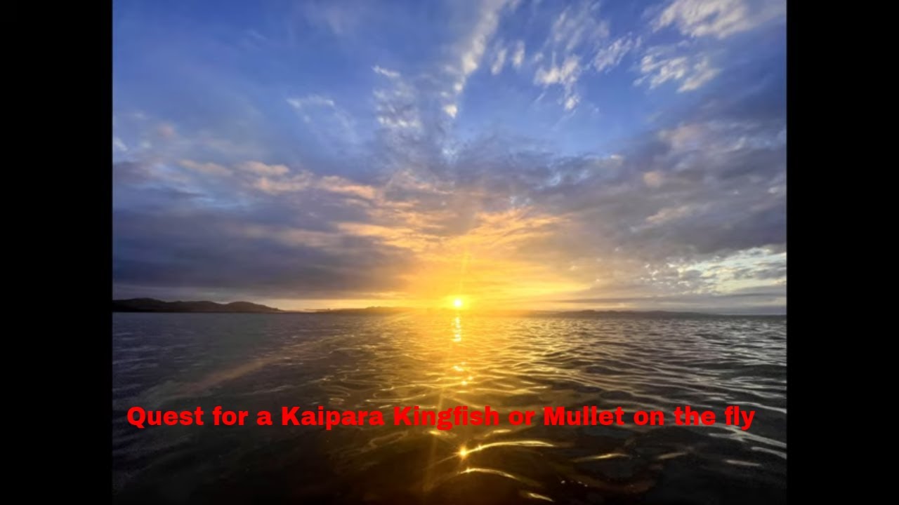 Quest for Kaipara KF Mullet