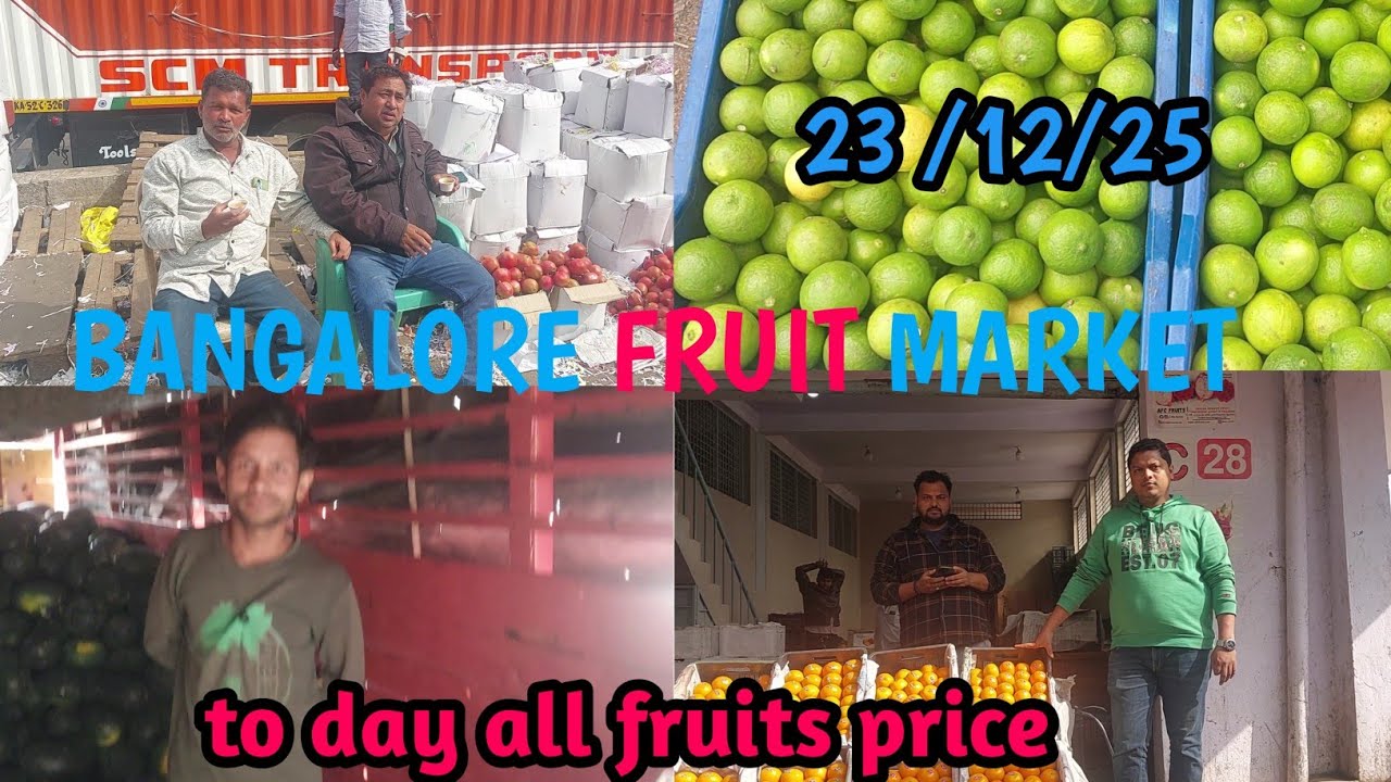 BANGALORE FRUIT MARKET  || TO DAY ALL FRUIT PRICE || aaj ka savi phal ka price 