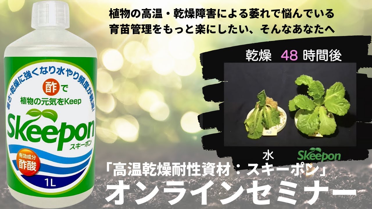 「高温乾燥耐性資材：スキーポン（アクプランタ株式会社）」セミナー動画