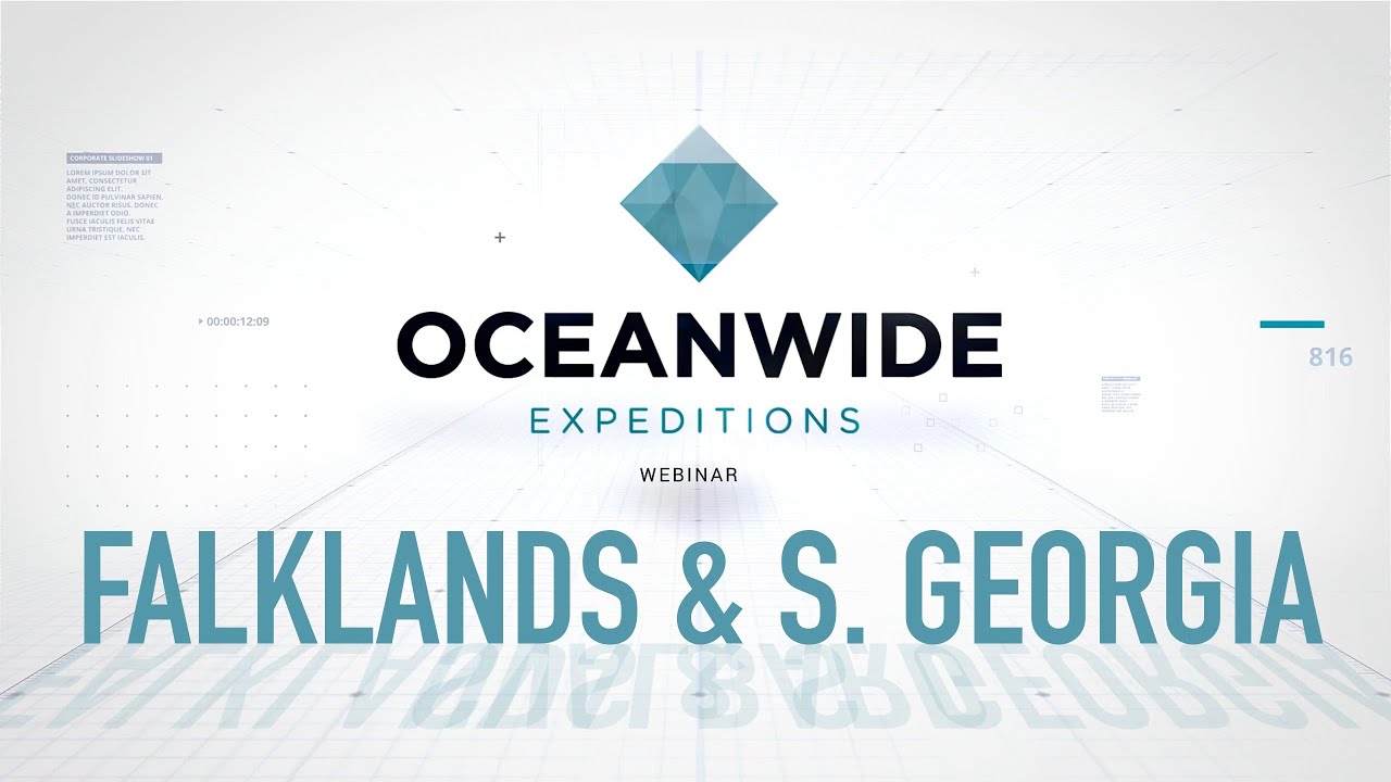 Webinar | Oceanwide Falkland islands & South Georgia trips