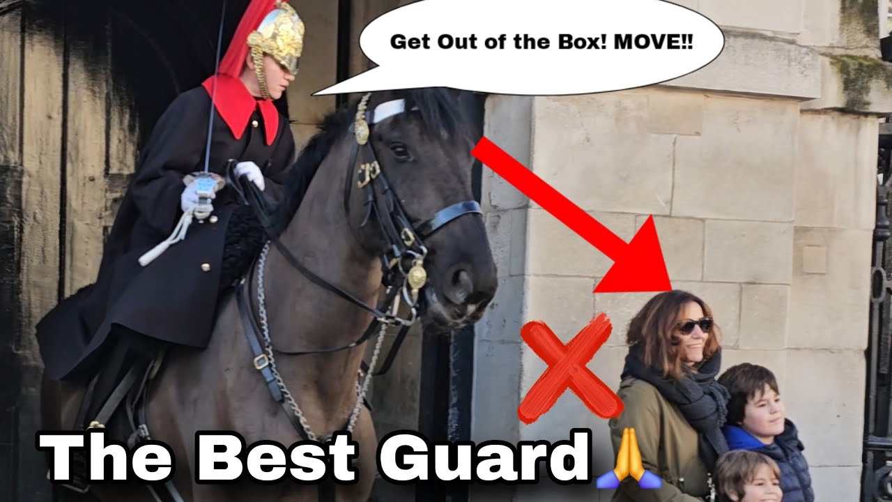 She got told off THREE TIMES😳! My favorite lady guard in Action!