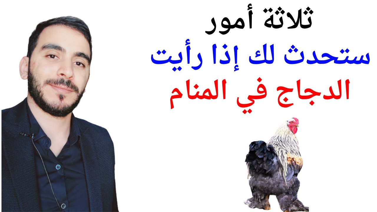 ثلاثة أمور ستحدث لحياتك إذا رأيت الدجاج في المنام تفسير رؤية الدجاج في المنام بالتفصيل