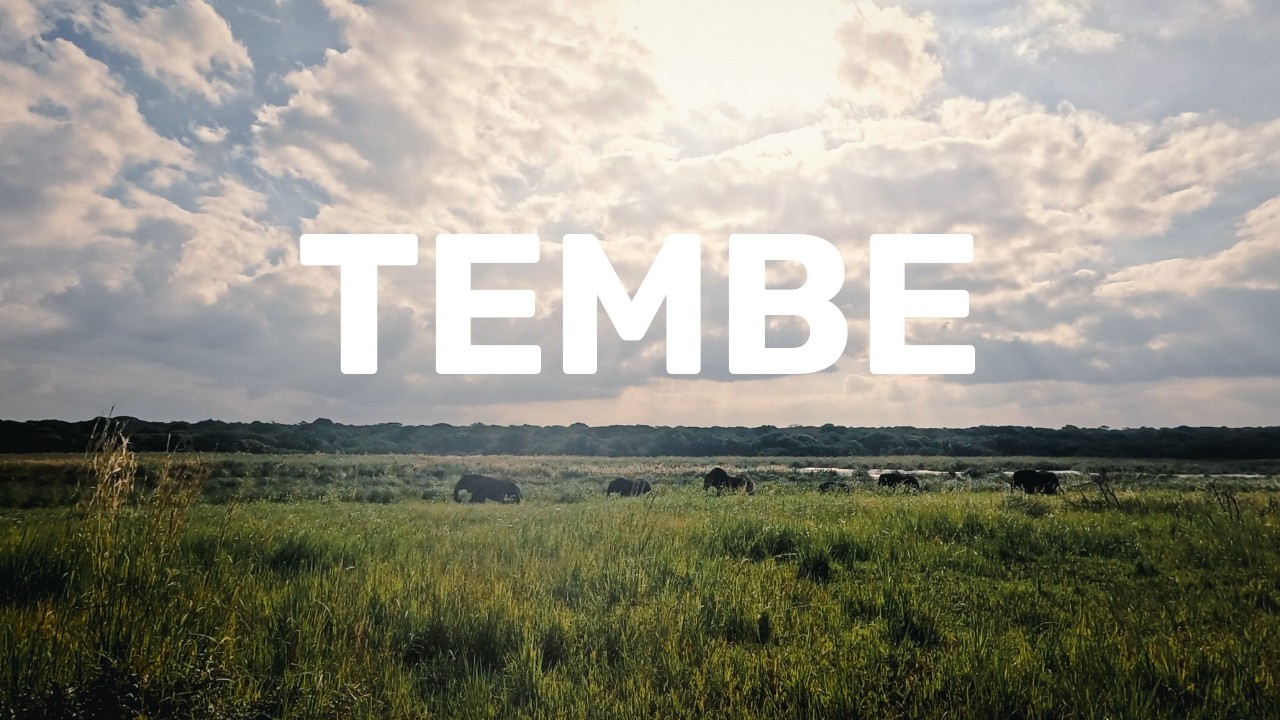 Driving in South Africa's Most Underrated Big 5 Park: Tembe Elephant