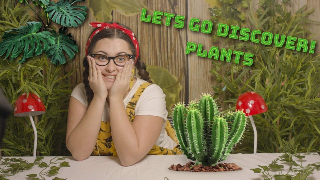 Learning videos for kids - Learn about Plants - Key Stage 1 Education