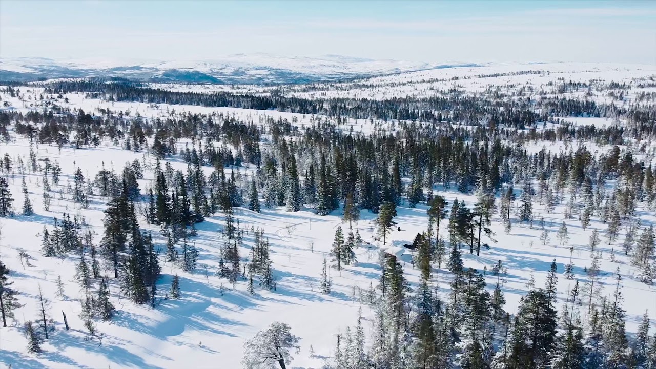 Haltdalen