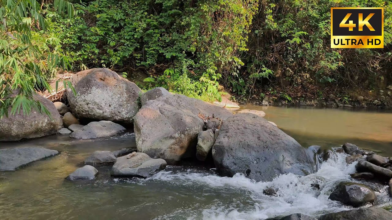 Listen to Gentle River Flow Over Rocks | Calming Water Sounds for Sleep, Meditation & Focus 🌿💦