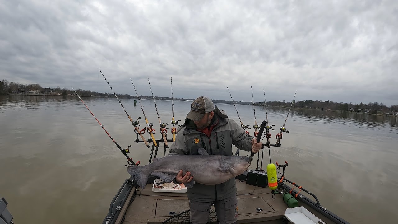 Old Hickory Catfishing