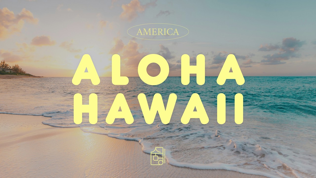 [Playlist 🇺🇸] 봄볕 아래 하와이 🏝️ Warm Sunshine Chill Music for Study/Rest #playlist