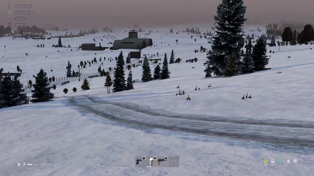 HOA unc on DayZ not balding | full head of hair gaimplay