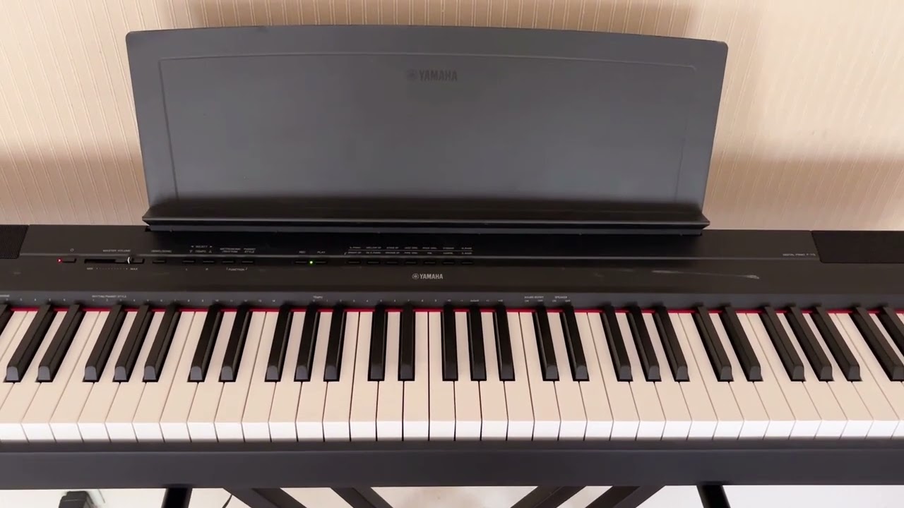 Yamaha P-115 Digital Piano