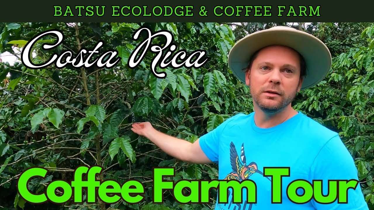 Costa Rica ORGANIC COFFEE FARM TOUR | Batsu Ecolodge & Artisanal Coffee Farm | San Ramon Costa Rica