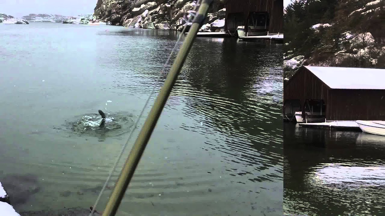 #reeltime Winter fly fishing for Norwegian Sea trout