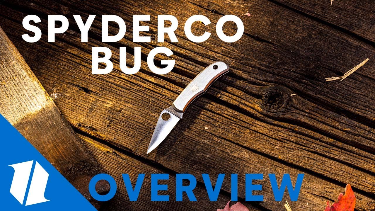 SPYDERCO BUG | Knife Overview