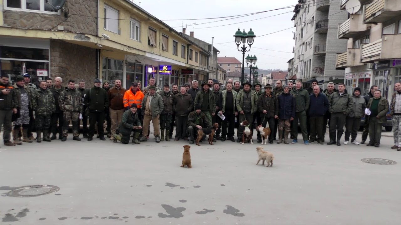 KUP POBEDNIKA- LJIG 2018.