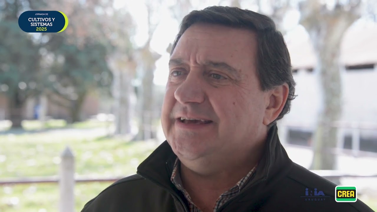 César Mosca analiza los márgenes y proyecciones de la Zafra de Verano 25-26