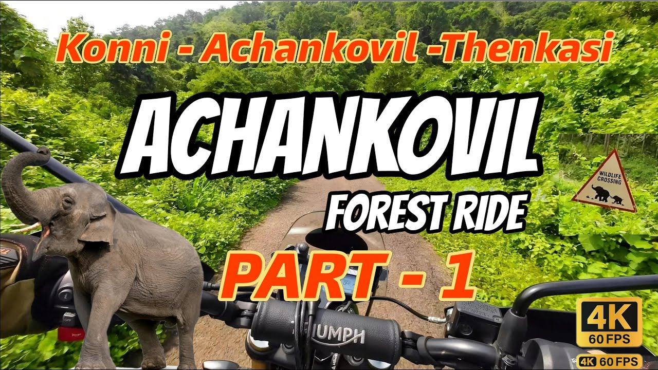 Achankovil Forest Route | കേരളത്തിലെ ഏറ്റവും അപകടകരവും ഭംഗിയുള്ളതുമായ വനപാത-Part 1#konni #achankovil