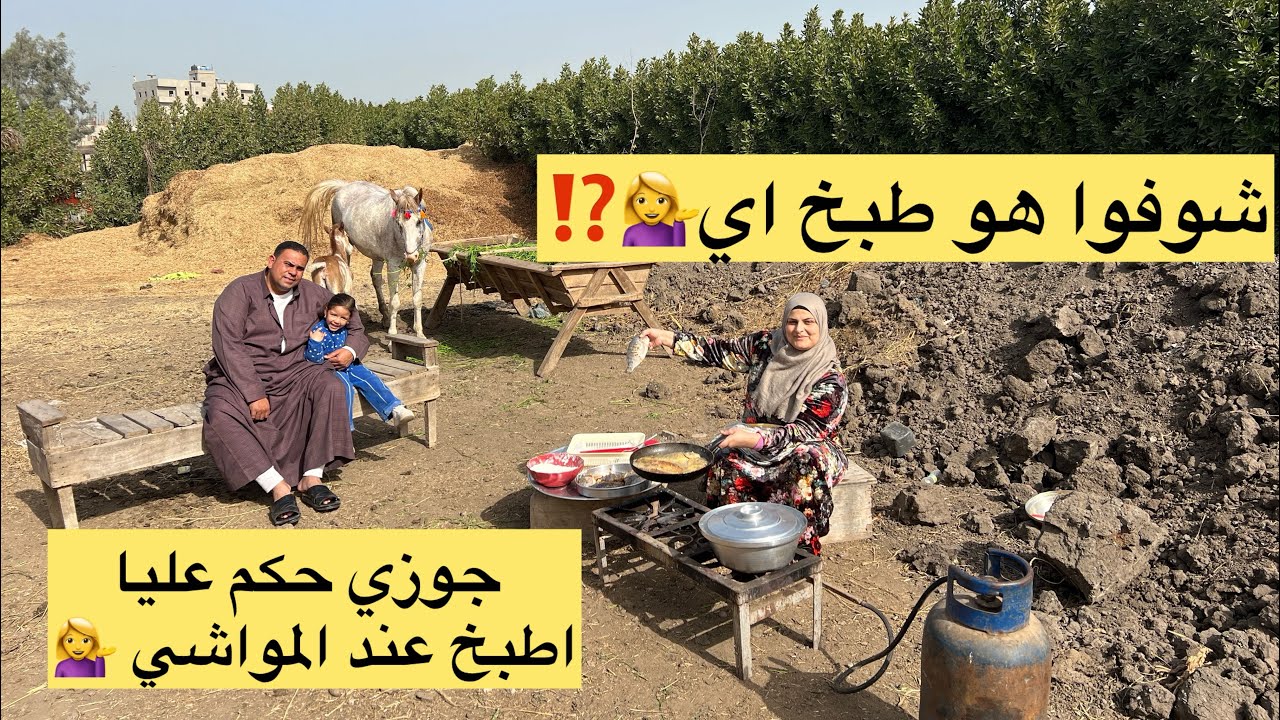 جوزي حكم عليا أطبخ عند المواشي 🐴 🐎وأنا حكمت عليه يطبخ للمواشي بطاطا🍠 حلوه 🤣🐄يوم ريفي بدون منتاج✋
