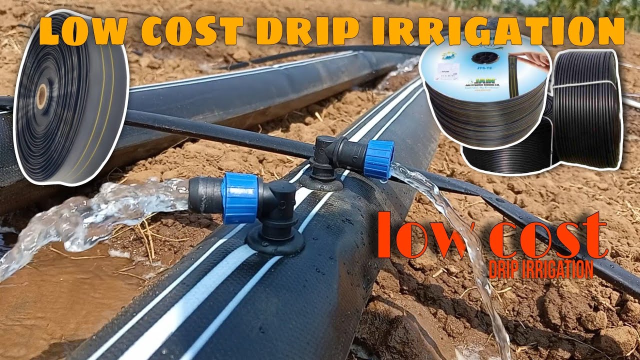 Low cost drip irrigation system #drip #irrigation #low #cost #system #farming #agriculture