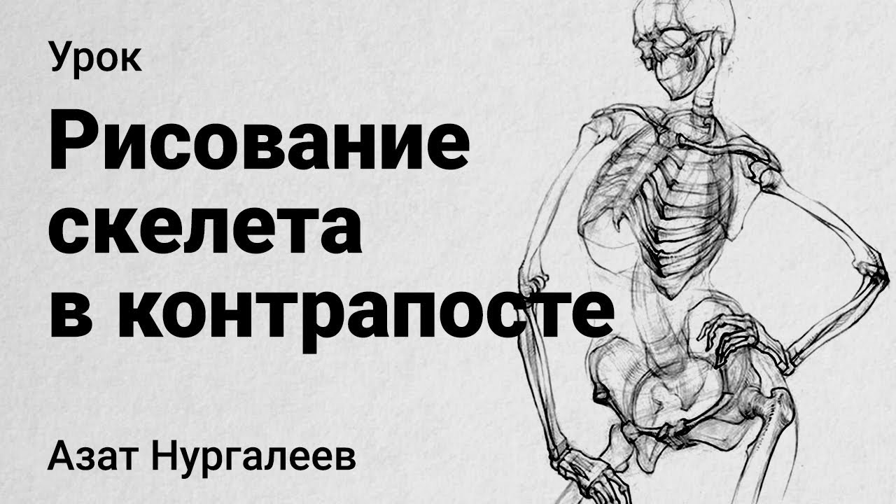 Рисуем СКЕЛЕТ ЧЕЛОВЕКА. Фронтальный ракурс (контрапост). Курс 